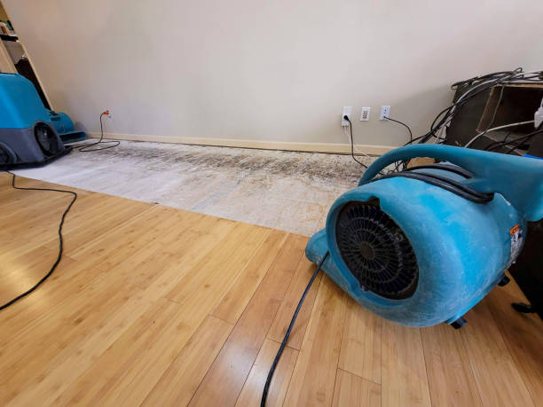 Professional Basement Flood Cleanup technician working in Walker, LA